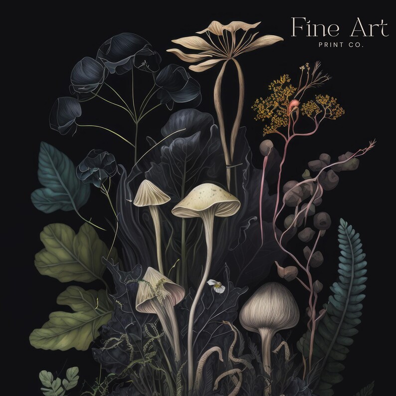 K&ouml;nnte beinhalten: Botanische Illustration mit verschiedenen Pilzen und Pflanzen in ged&auml;mpften T&ouml;nen vor schwarzem Hintergrund. Die Kunstwerke zeigen detaillierte Pilze, Bl&auml;tter und zarte florale Elemente, mit dem Text "Fine Art Print Co."