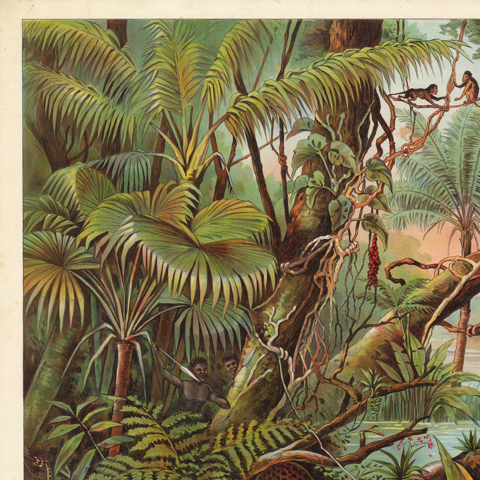 World Geography Art Print Amazon Jungle Wall Art Junglebook Etsy