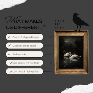 May include: A graphic with the text "What makes us different?" and a list of five reasons why, including "Printed & shipped to you", "Museum-grade paper", "Archival inks", "Bold colors, will not fade", and "Low price & high quality". The graphic also features a framed print of two white swans on a lake at night, with the text "Gicl&eacute;e Art Prints" above the print.
