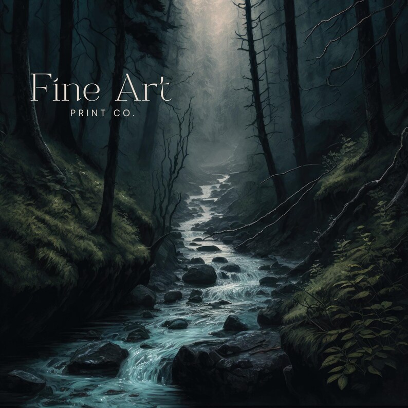Op de afbeelding: Een donkere, sfeervolle bos sc&egrave;ne met een beek die door het midden stroomt. De beek is omgeven door rotsen en het bos is dicht begroeid met bomen. De tekst "Fine Art Print Co." is zichtbaar in de linkerbovenhoek van de afbeelding.