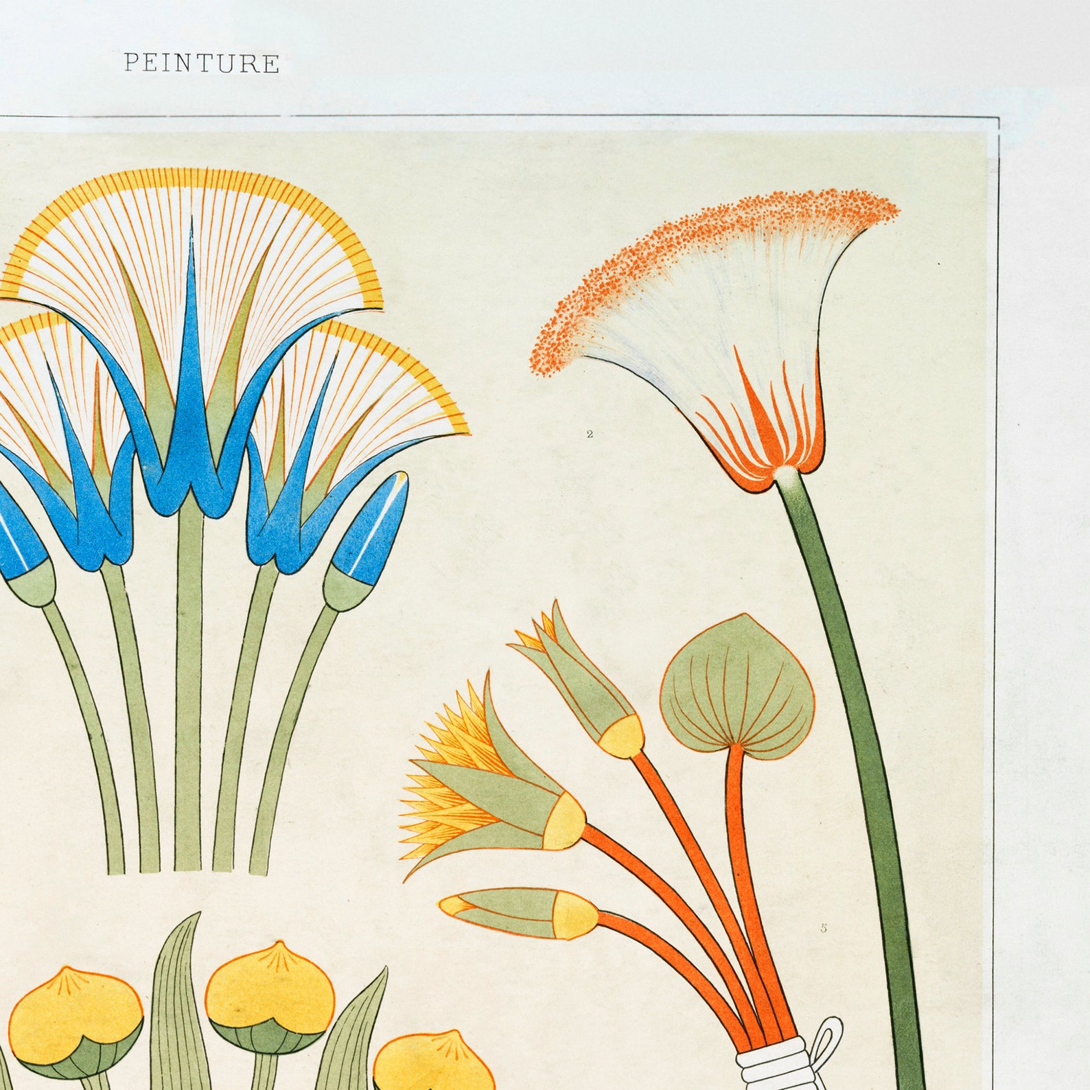 Plants & Flowers Egyptian Art Print Antique Egyptian Artifact Etsy