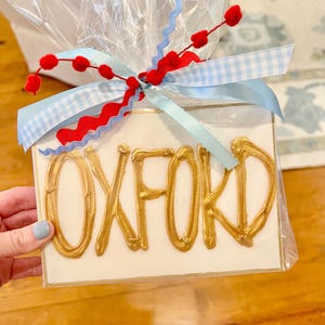 Personalized Hand Painted Gift | Oxford, Mississippi | SEC Gift | Graduation Gift | Sorority Gift | Mixed Media Resin Art