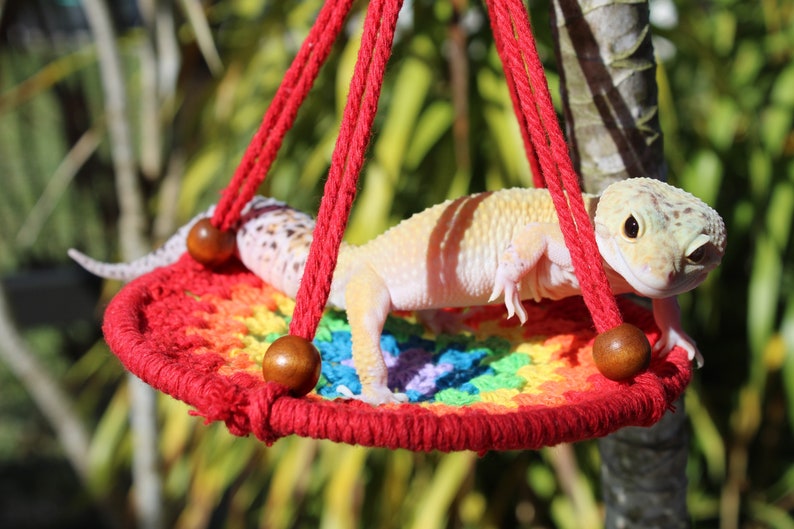 Leopard Gecko Rainbow Hammock Etsy
