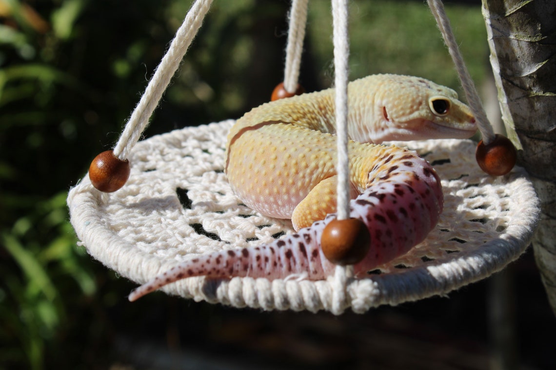 Leopard Gecko Hammock Etsy
