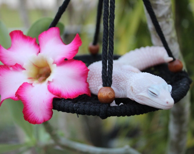 Leopard Gecko Hammock Etsy