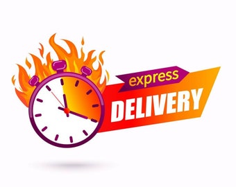 Express Delivery