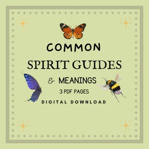 Common spirit guides, spirit guides, animal spirit guides, insect spirit guides, spirituality, angel number, spiritual meanings, witch