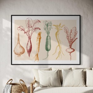 May include: A vintage style illustration of seven different root vegetables, including a turnip, radish, carrot, onion, and three different types of beets. The vegetables are drawn in shades of red, orange, green, and yellow on a cream background.