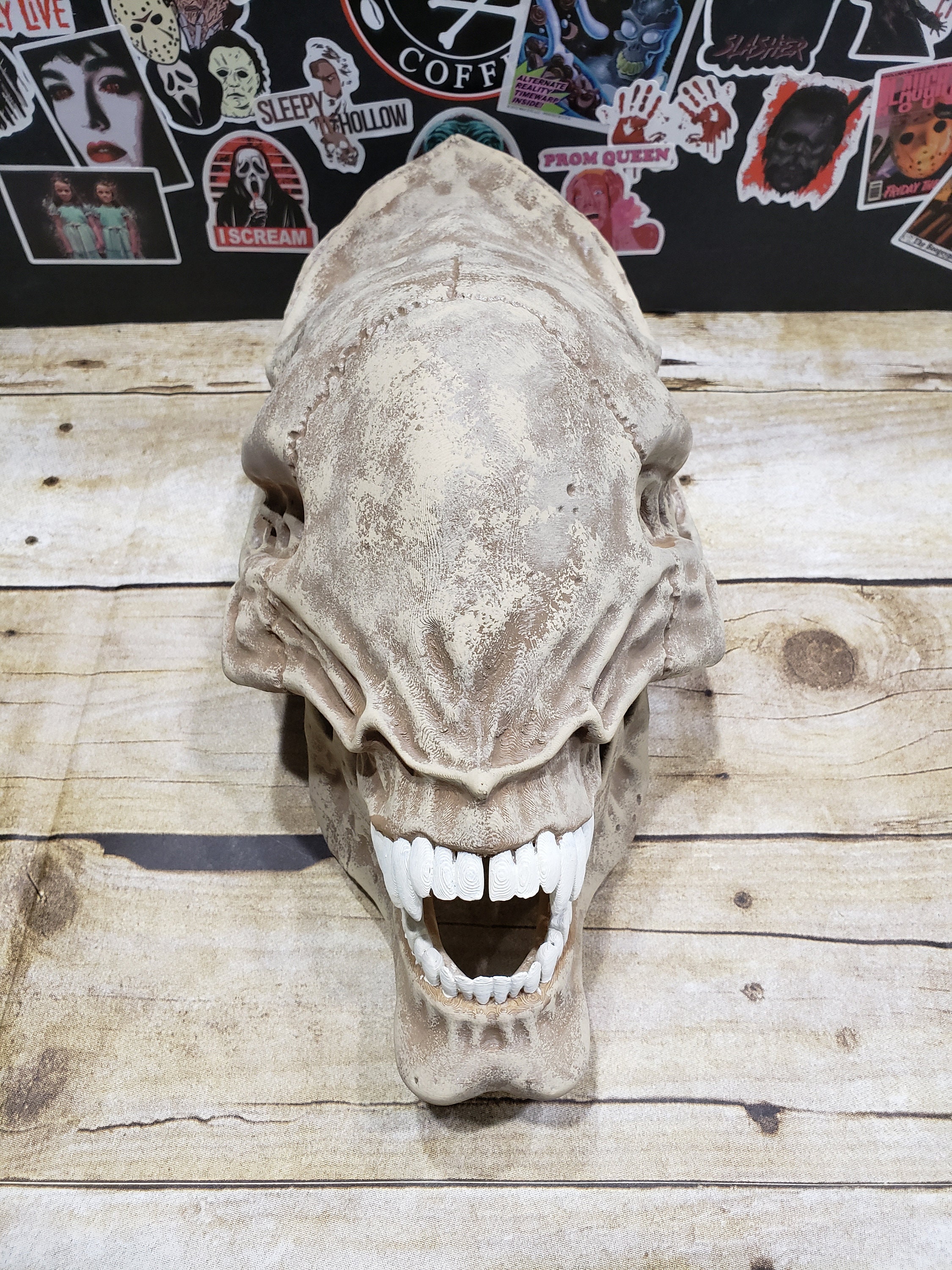 Giant (alien) Xenomorph Skull (front Portion Only)- With Base and