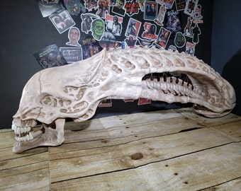 Giant Alien Xenomorph Skull With Full Base And Stand