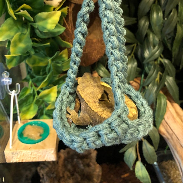 Crested Gecko Swinging Platform