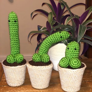 Puede incluir: Tres plantas de cactus de crochet verde en macetas beige sobre una superficie de madera. Las plantas de cactus tienen ojos negros y están dispuestas en fila.