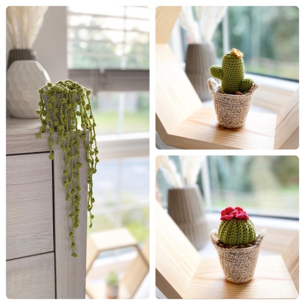 Crochet Patterns for Three Cacti  Cactus - Easy Cheap Pattern - present - Easy To Make - PDF Digital Download - Instant Download