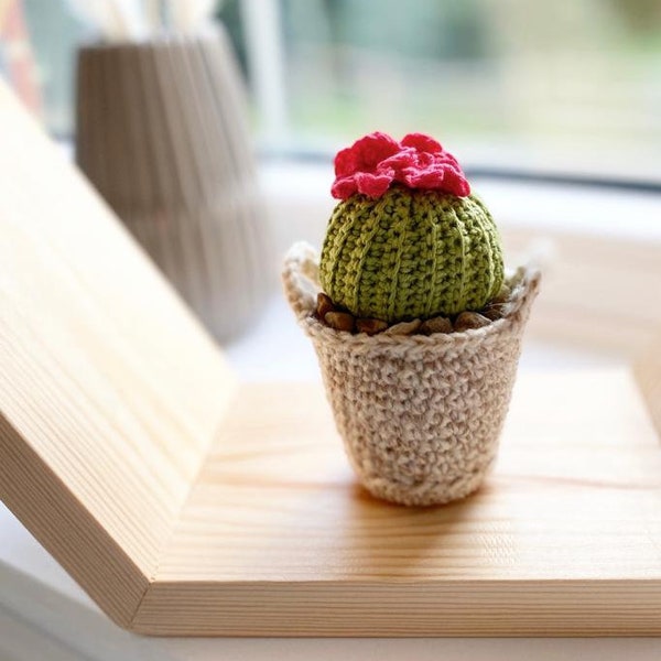 Crochet Pattern Barrel Cactus- Easy Cheap Pattern - present - Easy To Make - PDF Digital Download - Instant Download