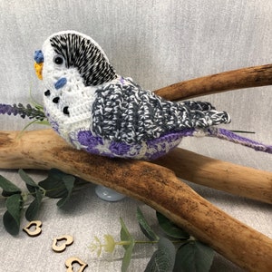 Budgie Crochet Pattern -  Parakeet - Budgerigar  - African Flower Crochet -Parakeet - Fun Make - PDF Digital Download - Instant Download