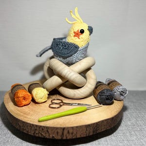 Patrón de crochet para cacatúa Charlie la cacatúa, patrón de crochet de flor africana para cacatúa, descarga digital en PDF - Animal australiano