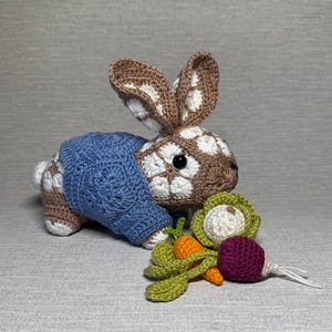 A* African Flower Crochet Rabbit Pattern: Petal with Coat & Vegetables (PDF Pattern)