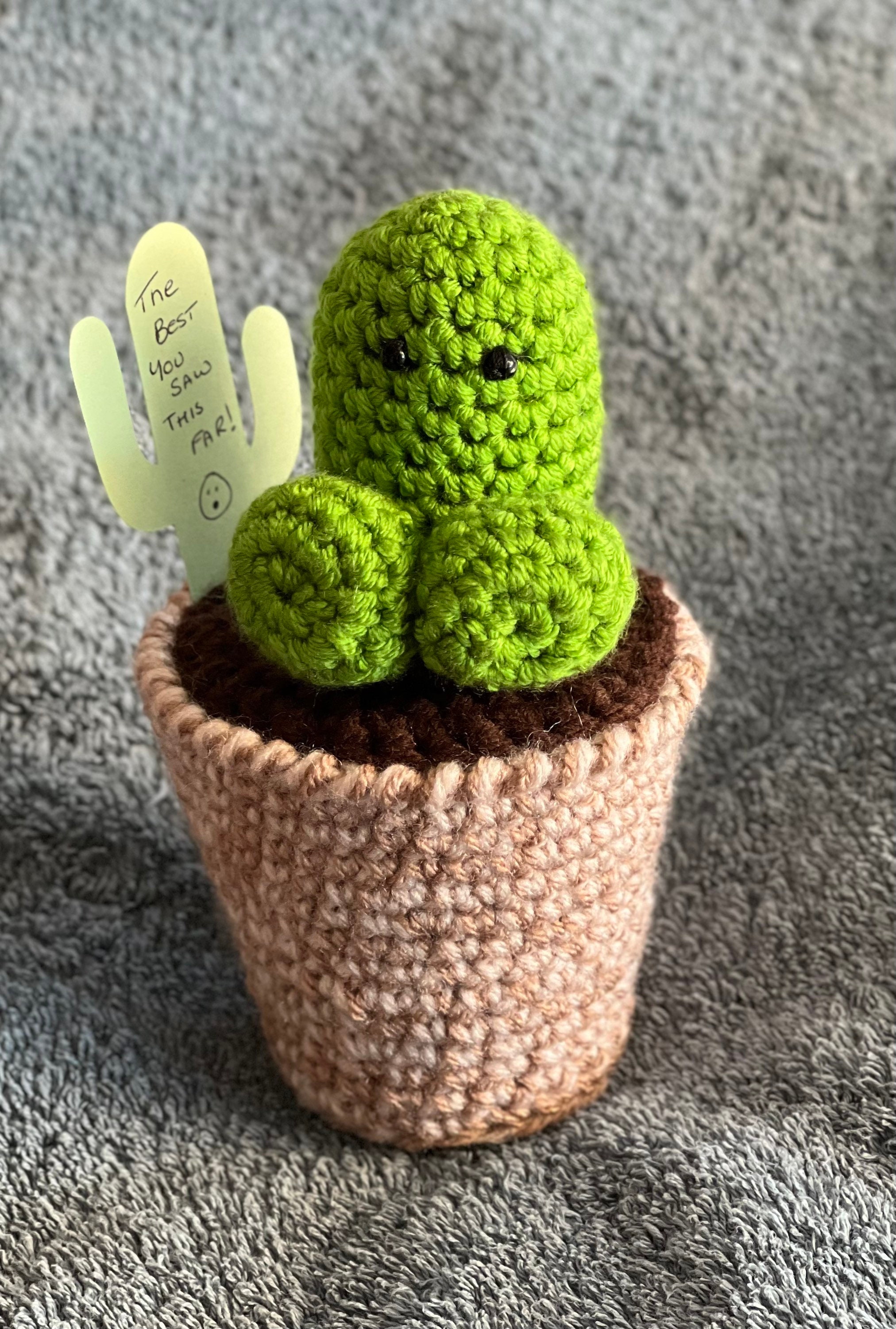 Crochet Cactus, Willy Amigurumi with Basket, Hen Party Gift - Etsy