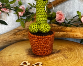 Crochet Pattern, Coctus Keyring  , coctus pattern,  small cactus, fun adult theme, little cactus in pot, adult cactus pdf