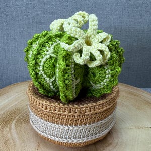May include: A crocheted cactus plant with a yellow flower, in a brown and white crocheted pot.