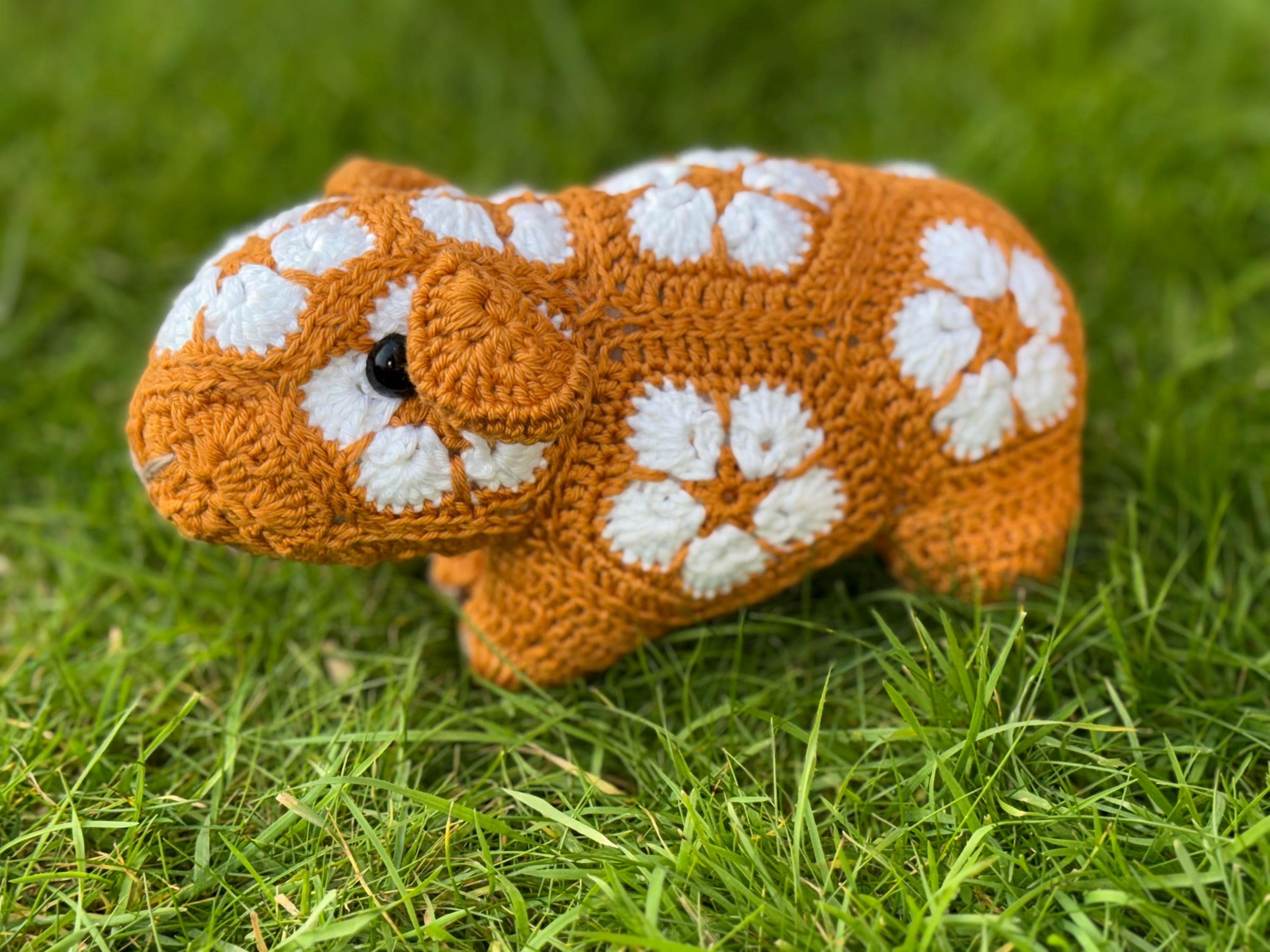 African Flower Guinea Pig Crochet Pattern