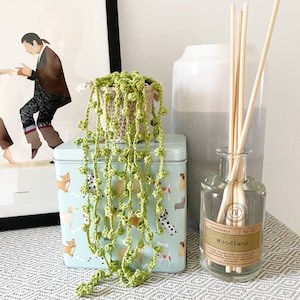 Miniaturowy szydełkowy sznur pereł Amigurumi Sukulent z koszykiem