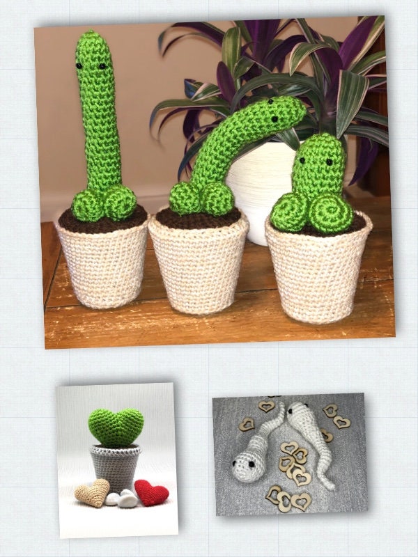 Cactus Pattern Bundle with Beginner Guide