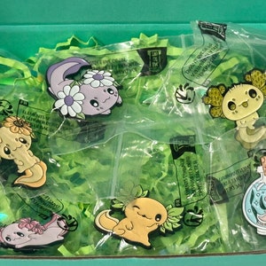Axolotl pins enamel pins gift set Axolotls birthday gift box Axolotl party favors gift for her get well gift congrats gift love pin trading