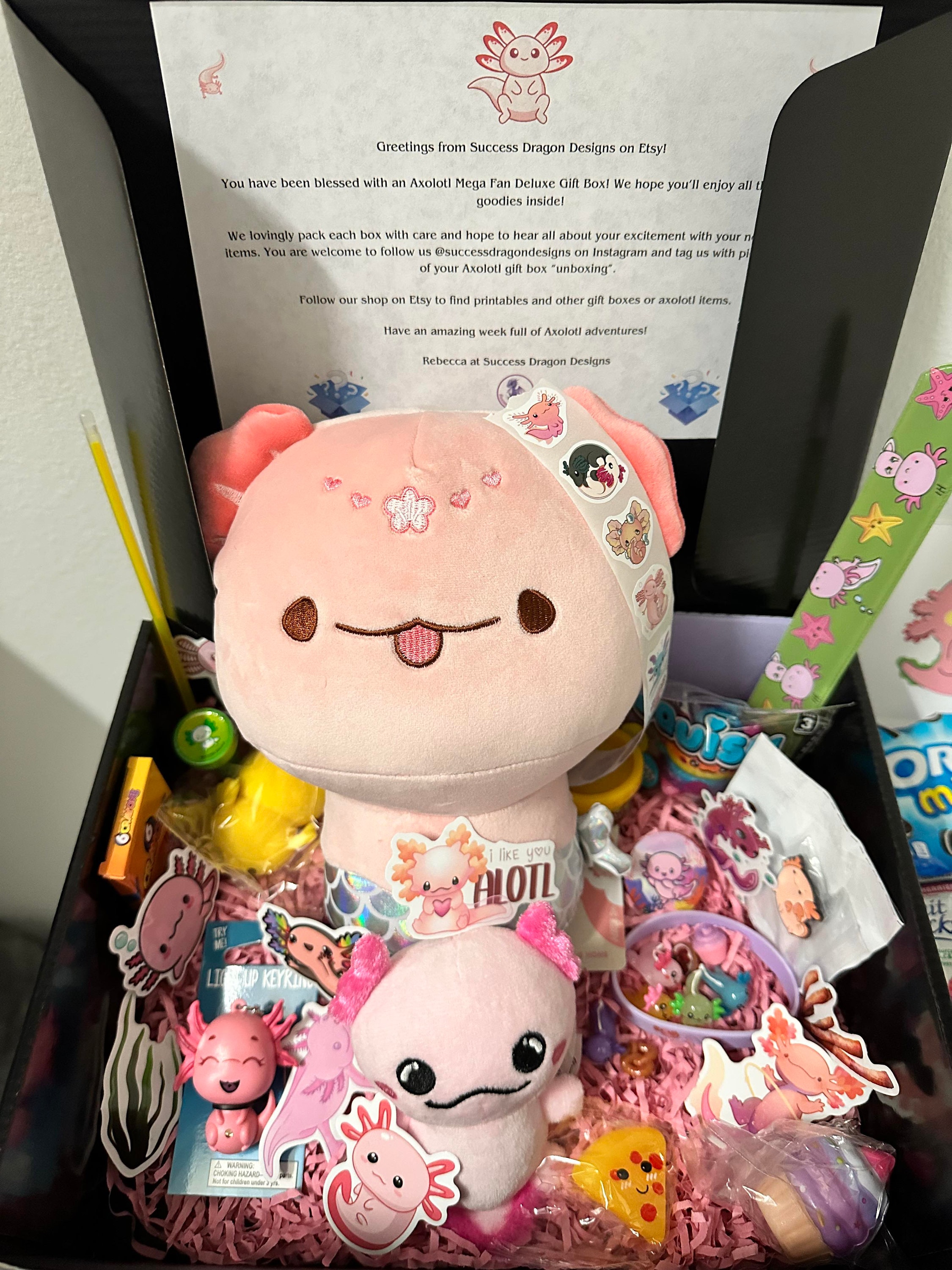 Axolotl Gift Box: Plushie, Fidget Toy & Stickers