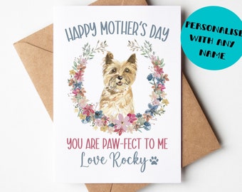 Blank Card ideal Mothers Day 4"x 6" Valentines etc. Cairn Terrier Dog Blank Card ideal Mothers Day 4"x 6" Valentines etc. Cairn Terrier Dog