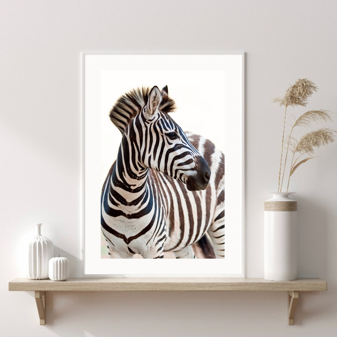 Zebra Print, Zebra Safari Print, Fashion Wall Art, Stylish Wall