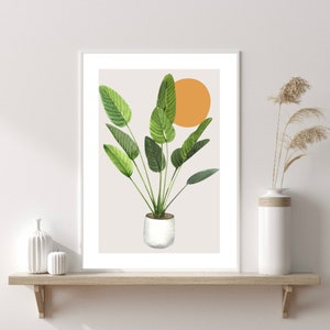 House Plant Illustration Print, Leaf Plant Botanical Art, Modern Art, Kitchen Wall Print, Home Decor, Gift Ideas, Wall Prints, Wall Art