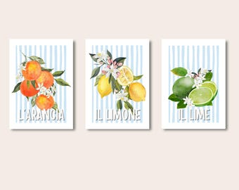 Italian Citrus Kitchen Wall Art Set, Citrus Fruit Print, Mediterranean Fruit Print Set, Pastel Fruit Art, Kitchen Prints, Set of 3 Prints