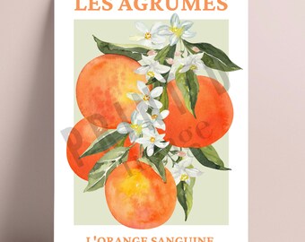 Stampe di limoni e arance del mercato della frutta: arte murale vintage per la cucina (download digitale) - Italia