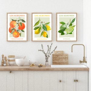 Citrus Fruit Print, Set Of 3 French Fruit Art Prints, Fruit Wall Art, Kitchen Print, Home Decor, Wall Prints, Posters, Wall Art, Kitchen