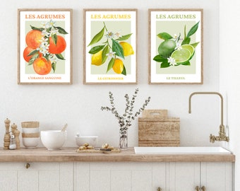 Citrus Fruit Print, Set Of 3 French Fruit Art Prints, Fruit Wall Art, Kitchen Print, Home Decor, Wall Prints, Posters, Wall Art, Kitchen