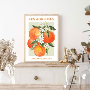 May include: A vintage-style poster with a watercolor illustration of oranges and white blossoms. The text reads "Les Agrumes L'Orange Sanguine".