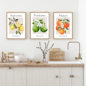 Citrusvruchtenprint, set van 3 Italiaanse fruitkunstafdrukken, fruitmuurkunst, keukenprint, woondecoratie, muurafdrukken, posters, kunst aan de muur, keuken