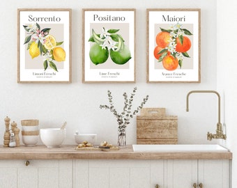 Citrus Fruit Print, Set Of 3 Italian Fruit Art Prints, Fruit Wall Art, Kitchen Print, Home Decor, Wall Prints, Posters, Wall Art, Kitchen