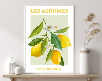 Lemon Art Print, Les Agrumes, Modern French Wall Poster, Fruit Wall Art,  Kitchen Print, Home Decor, Wall Prints, Posters, Wall Art, Kitchen