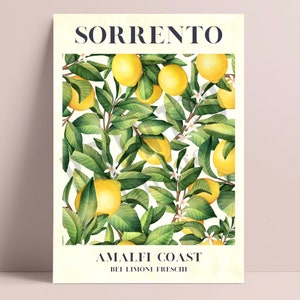 May include: A watercolor illustration of a lemon tree with ripe yellow lemons and white blossoms. The text "SORRENTO" is at the top of the image and "AMALFI COAST" and "BEI LIMONI FRESCHI" are at the bottom.