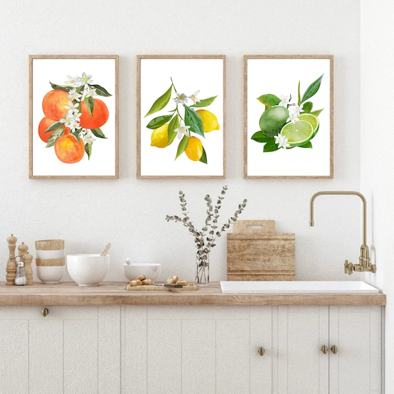 Citrus Fruit Print, Set Of 3 Fruit Art Prints, Fruit Wall Art, Kitchen Print, Home Decor, Wall Prints, Posters, Wall Art, Kitchen Posters
