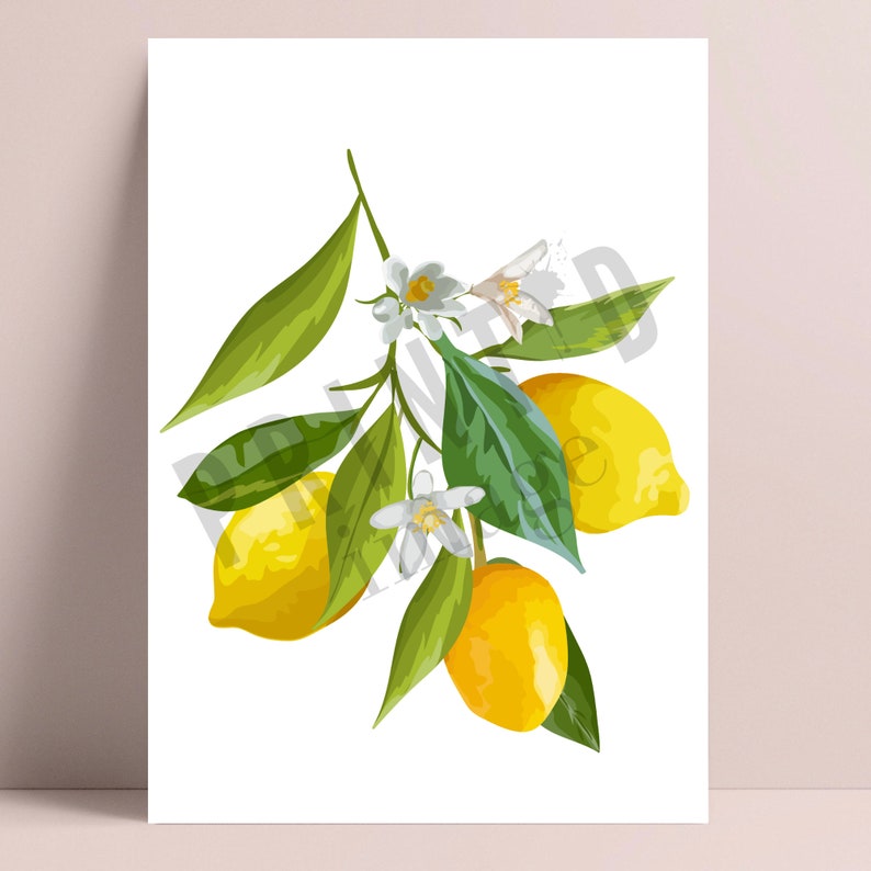 May include: A branch of a lemon tree with green leaves, white blossoms, and three yellow lemons.