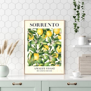May include: A vintage-style poster with a white background featuring a lemon tree with yellow lemons and green leaves. The poster has the text "SORRENTO" in blue letters at the top and "AMALFI COAST" in blue letters at the bottom. The text "BEL LIMONI FRESCHI" is in smaller blue letters below "AMALFI COAST".