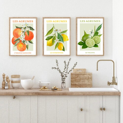 Poster Citrus Fruit Art/Canvas Print Home Decor Wall Art 