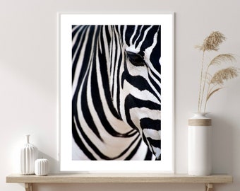 Zebra Print, Zebra Safari Print, Fashion Wall Art, Stylish Wall Art, Black And White Art, Bold Prints, Home Decor Prints, Retail Wall Decor