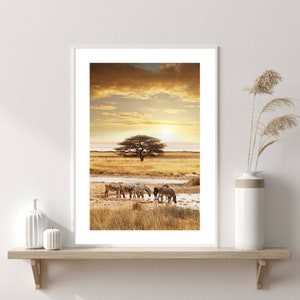 Savannah Art Prints, Zebra Print, Safari Prints, Safari Posters, Zebra On The Savannah Poster, Savannah Art Poster, Zebra Animal Print