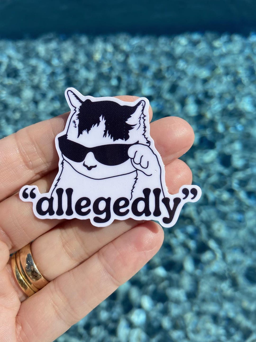 Allegedly Cat Sticker, Funny Meme, Waterproof Vinyl Decal - Etsy