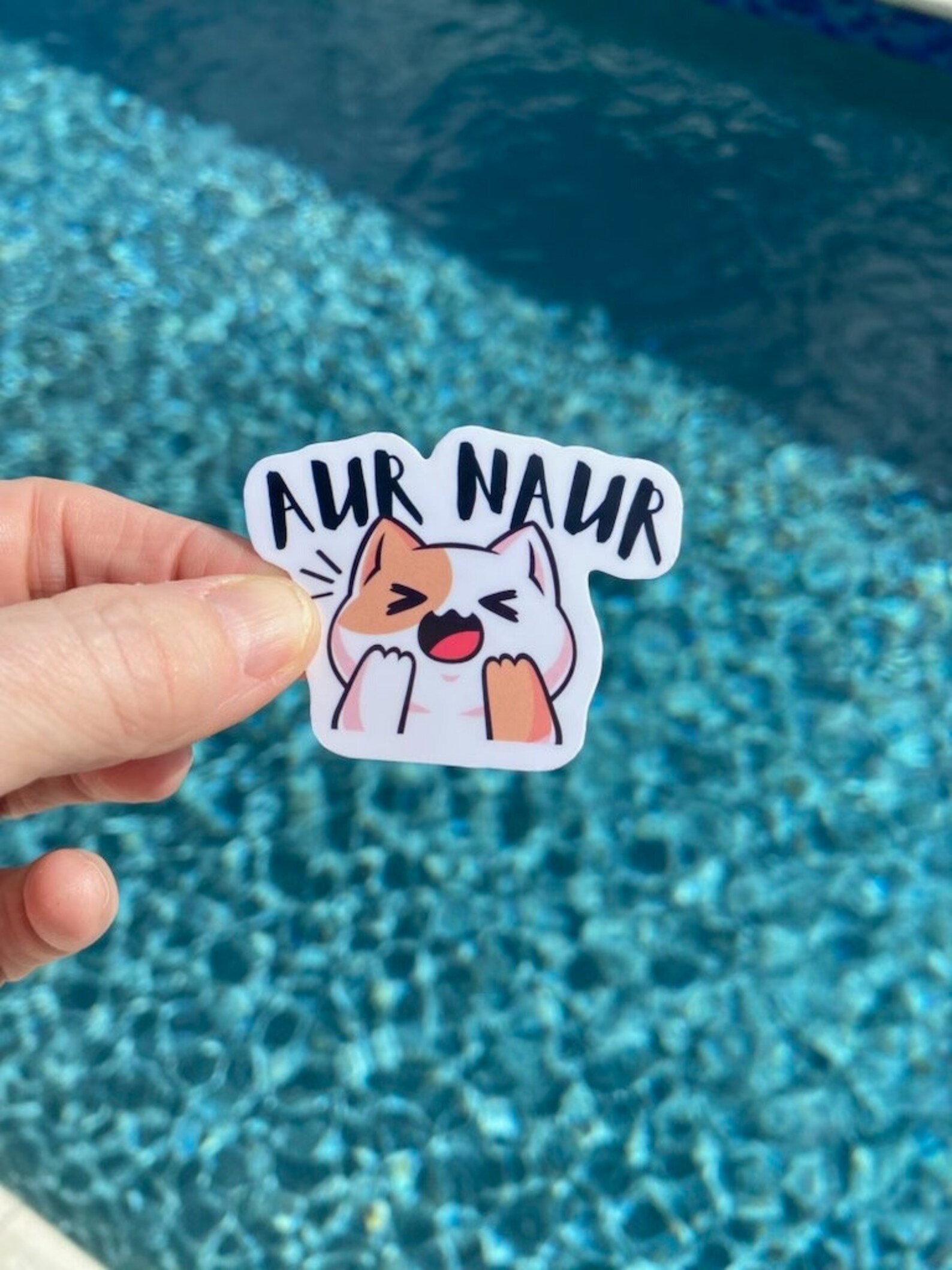 Aur Naur Crying Cat Vinyl Sticker, Funny Laptop Decal - Etsy