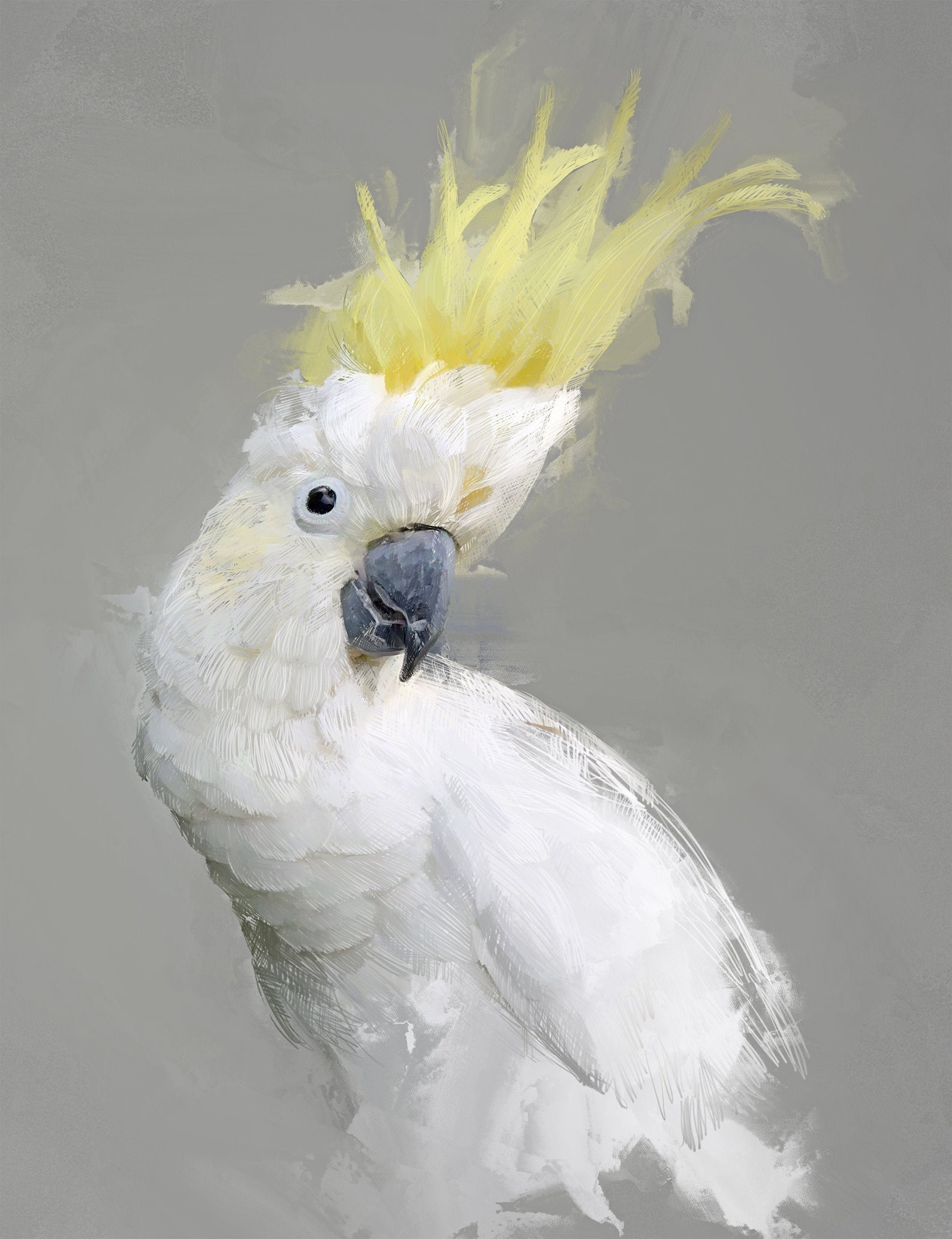 cockatoo pictures on canvas cockatoo pictures on canvas
